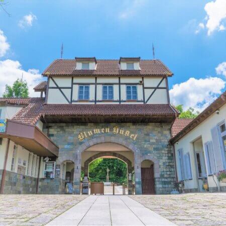 ​​​​​​​​​​​​【布魯梅之丘】在自然中通過遊戲培養感性的農業公園​​​​​​​​​​​​