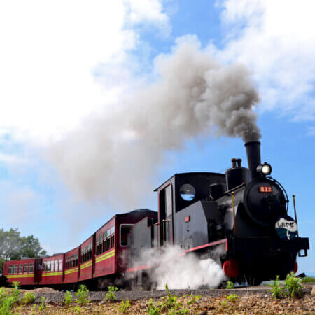 ​​​​​​​​​​​​【愛之兒童之國】在自然豐富的環境中盡情運動，享受無限樂趣！​​​​​​​​​​​​