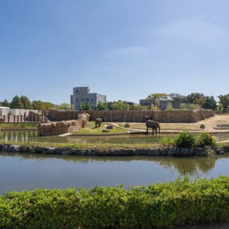 ​​​​​​​​​​​​【Non Hoi Park​​​​​​​​​​​​】與生物和自然零距離接觸的綜合動植物公園​​​​​​​​​​​​