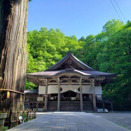 ​​​​​​​​​​​​【戶隱神社】走進神話的舞台，沿著杉木參道巡訪五社聖地