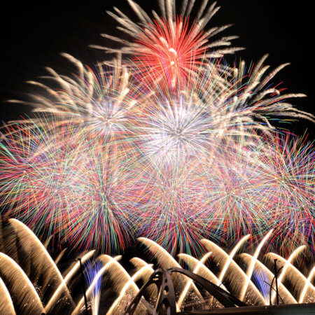 【Toyota Oiden Festival】A summer tradition in Toyota with dancing and fireworks