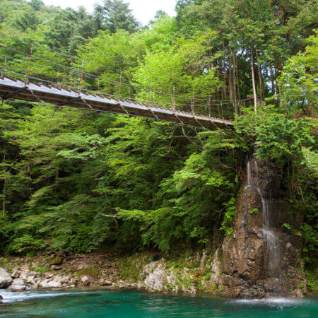 【Tsukechi Gorge】This is a “healing spot”! One of Japan’s Top 100 Forests for Forest Bathing