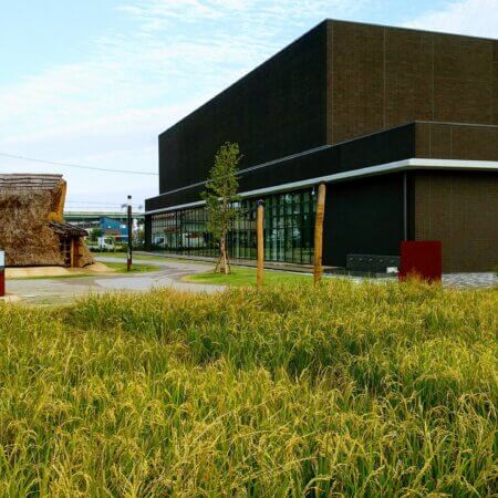 【Aichi Asahi Archaeological Museum】 See, Touch, and Experience the World of the Yayoi Period