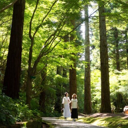 【Red Hill Heather Forest】A “Garden of Flowers and Woodland” in the Satoyama of Tsu, Mie