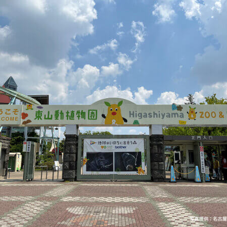 Discover the All-Day Charm of Higashiyama Zoo and Botanical Gardens