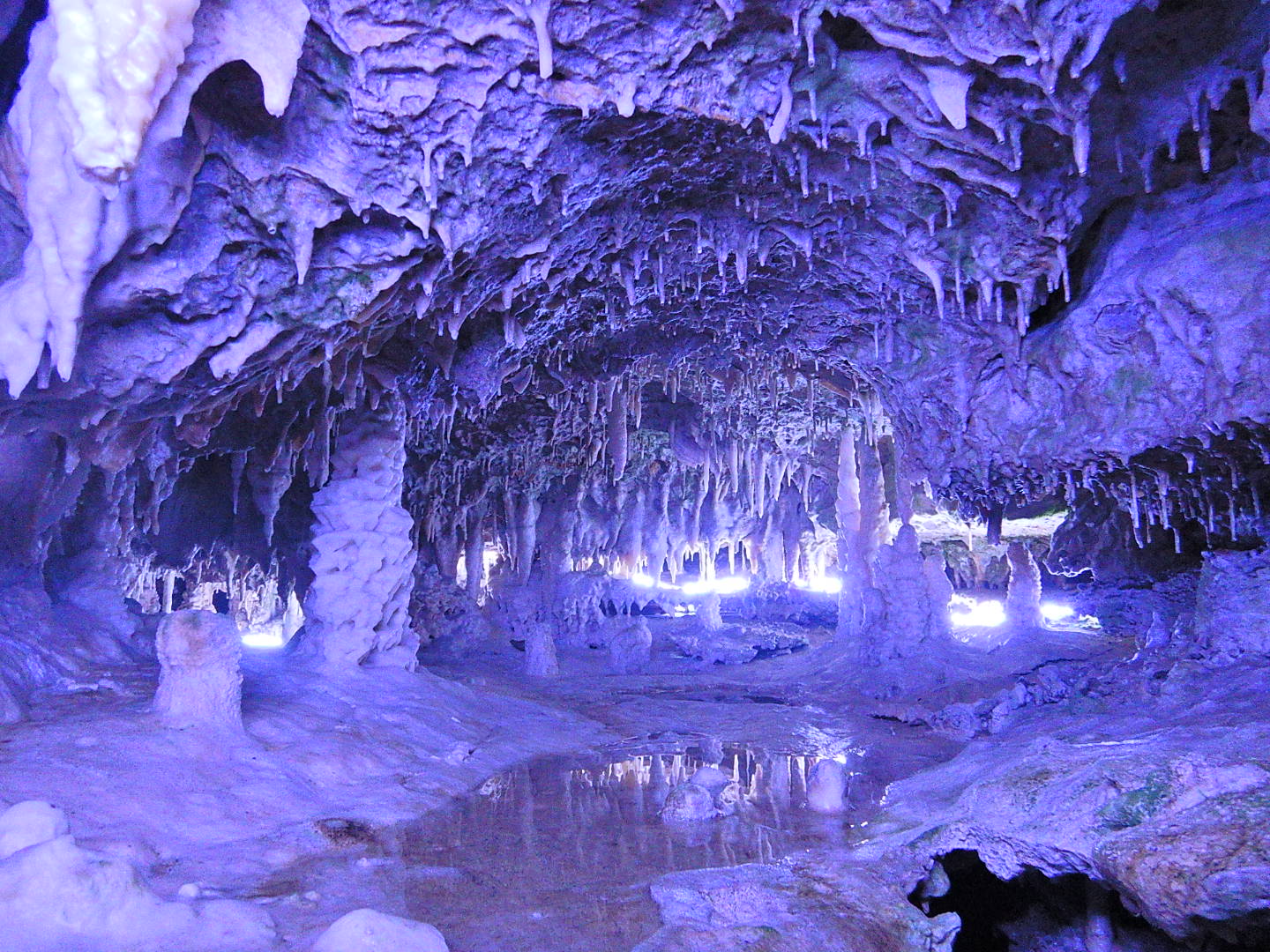 貴重な！鍾乳石 長い年月をかけて水が石灰岩を侵食してでき 天井からつららのように
