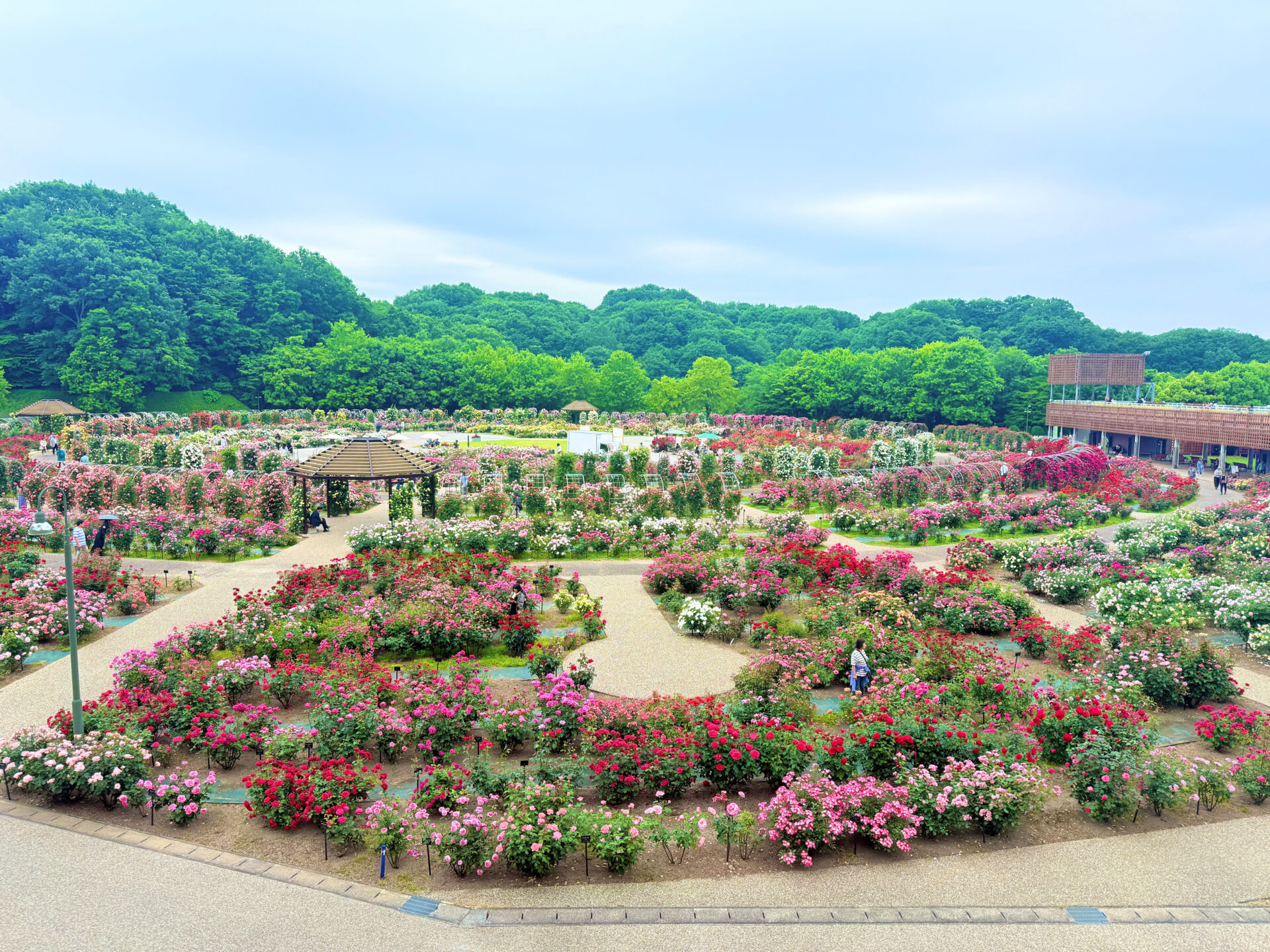 ぎふワールド・ローズガーデン】バラと四季の花が咲き誇る岐阜の楽園