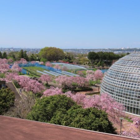 【東谷山フルーツパーク】食べる・学ぶ・体験するフルーツのテーマパーク